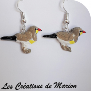 Glaréole à collier