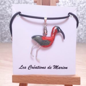 Ibis falcinelle