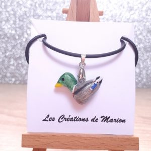 Canard colvert